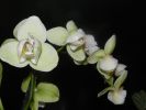 DSCN2661.JPG
