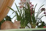 Файл=2013-09-30_08-26-58.JPG
Объём=566КБ
Размеры=3008x2000
Дата=Фев 01, 2015 2013-09-30_08-26-58.JPG
