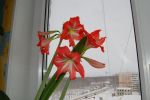Файл=2014-03-01_07-55-10.JPG
Объём=496КБ
Размеры=3008x2000
Дата=Фев 01, 2015 2014-03-01_07-55-10.JPG